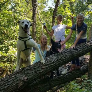 Meet your Posher, Katie